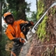 Webinar-Stihl-Connect-Qualtrics